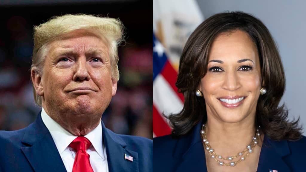 Former United States President Donald Trump and US Vice President Kamala Harris