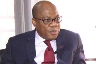 A file photo of Olisa Agbakoba