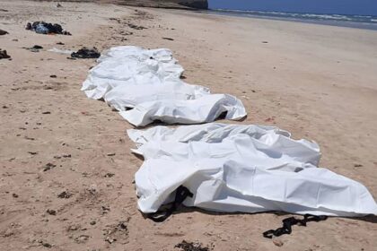 Bodies of 38 migrants, including children, found after 'tragic shipwreck' off Djibouti