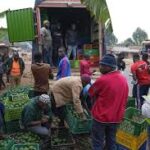 Burundi farmers band together to get fair prices for avocados