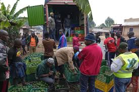 Burundi farmers band together to get fair prices for avocados