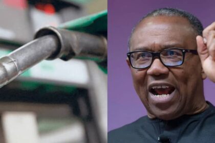 Peter Obi criticizes the recent petrol price hike