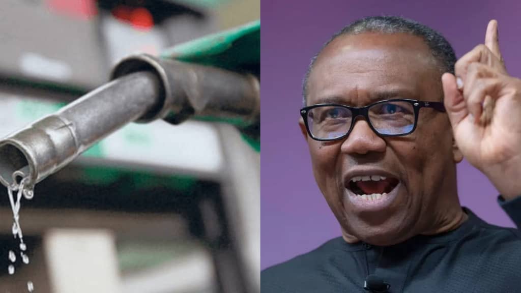 Peter Obi criticizes the recent petrol price hike