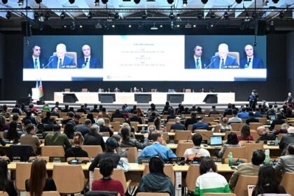 COP29 President Mukhtar Babayev speaks at a first closing plenary of the COP29 Climate Conference in Baku on November 23, 2024. (Photo by STRINGER / AFP)