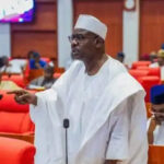 Senator Ali Ndume of Borno South