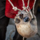 FILE PHOTO. A human skull used for a voodoo burial service pictured in Port-au-Prince, Haiti. © Getty Images / Giles Clarke