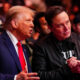 FILE PHOTO: US President-elect Donald Trump and Elon Musk at the UFC 309 event in New York City, November 16, 2024. © Getty Images / Chris Unger/Zuffa LLC