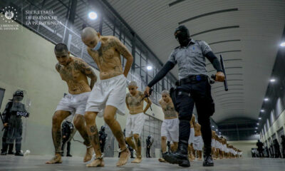 FILE PHOTO. Inmates belonging to the MS-13 and Barrio 18 gangs arrive to the Terrorist Confinement Center (CECOT) in Tecoluca, El Salvador. © Getty Images / Anadolu Agency / Press Secretary Of The Presidency Of El Salvador